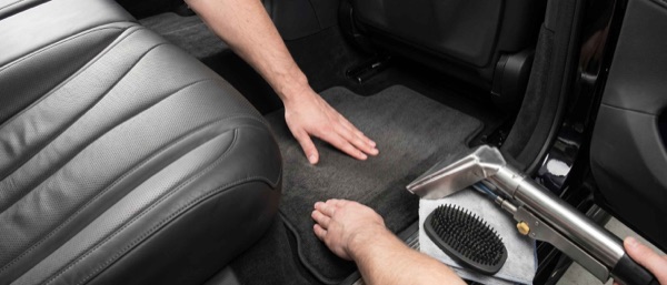 Pet Hair & Odor Removal