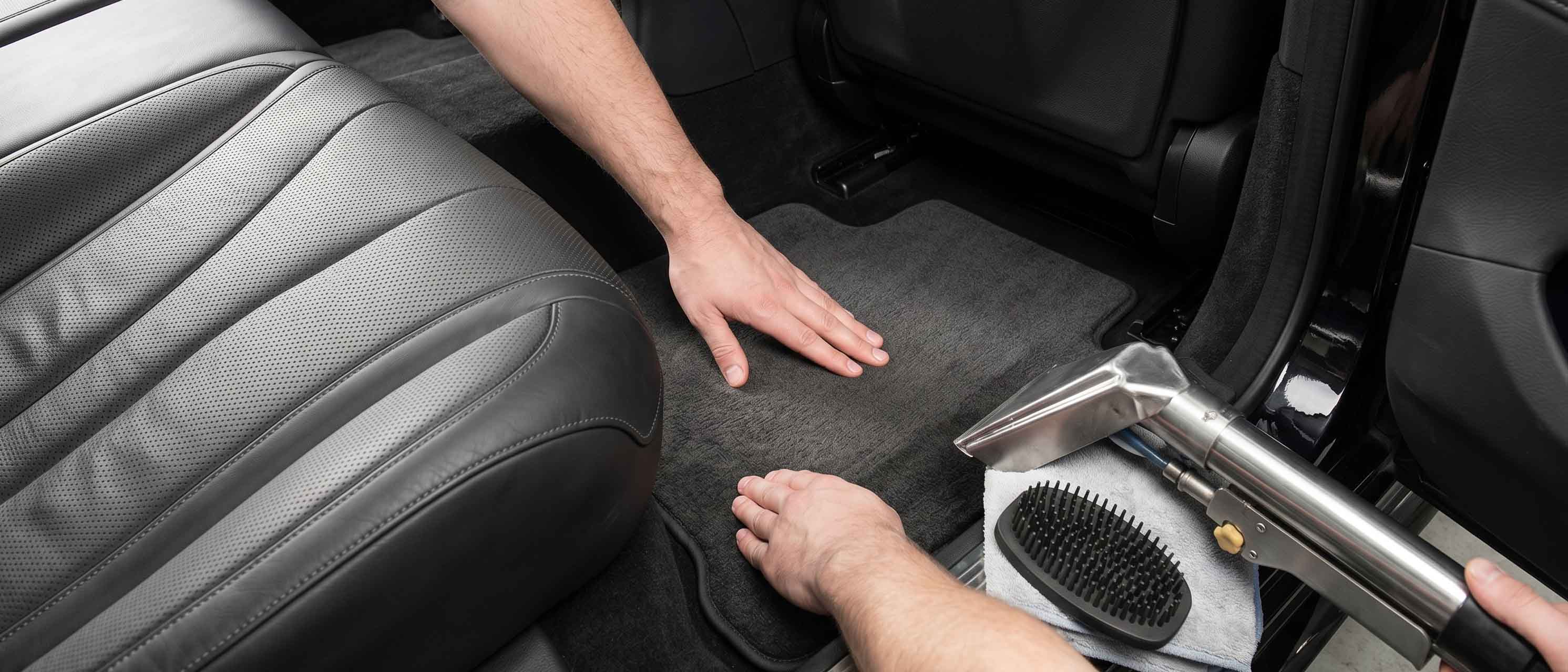 Pet Hair & Odor Removal at Minne Detail in Orono, MN